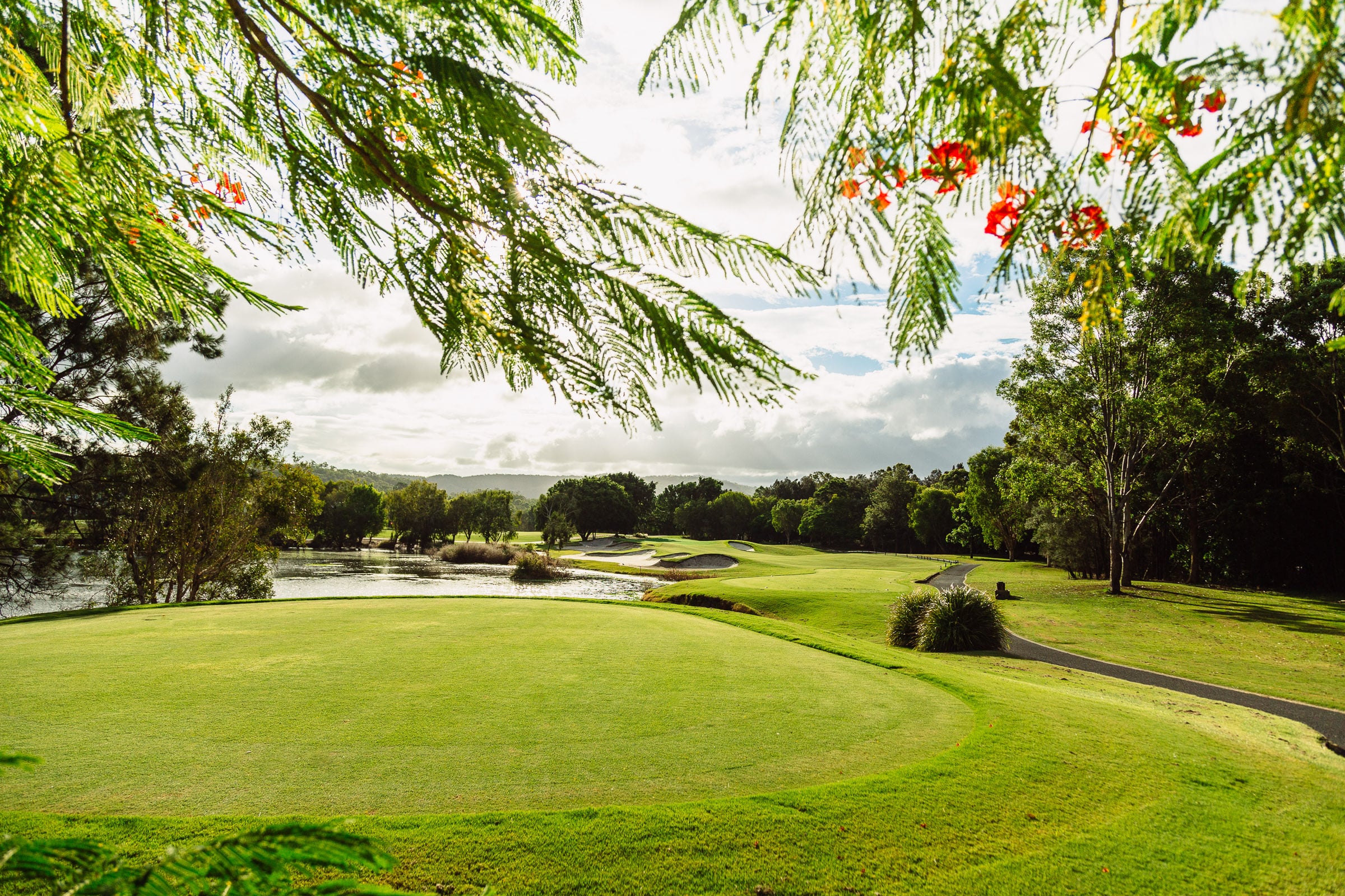 golfer tour gold coast